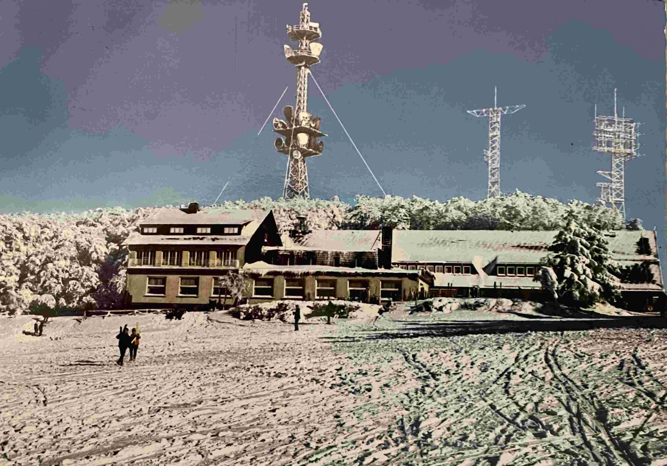 Schotten 1 im Schnee
