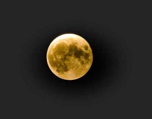 Golden Moon