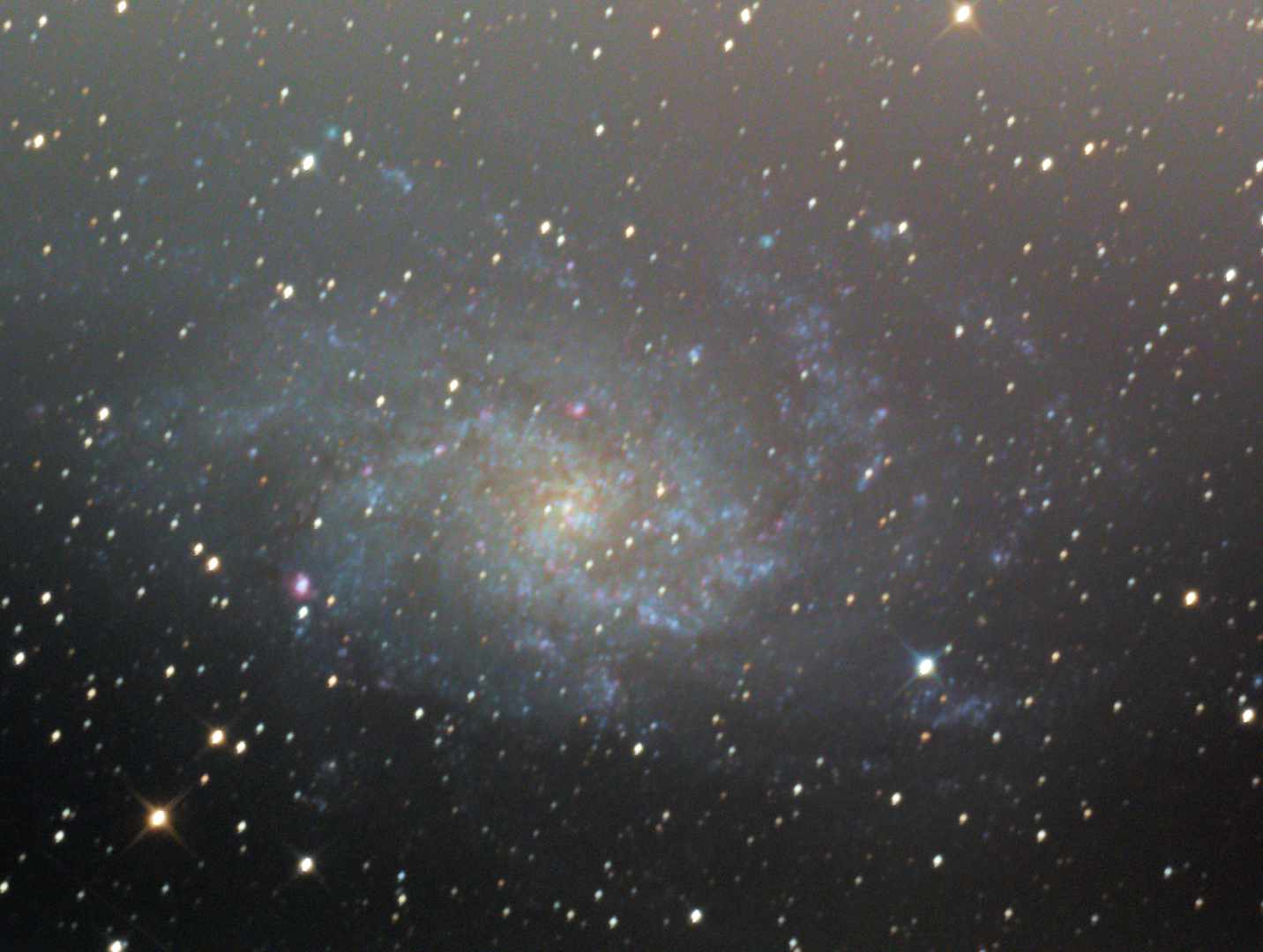 M33