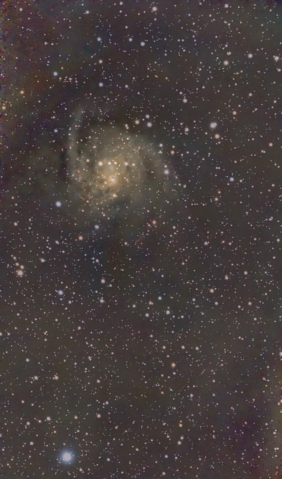 IC 342